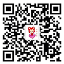 pg全网最全模拟器